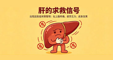 别忽视肝的“求救信号”，身体出现这4个信号必须引起重视！